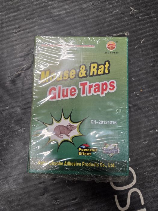 pułapka klejowa na myszy