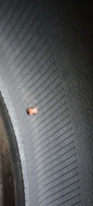 Opony Barum  bravuris 2  245/35R20