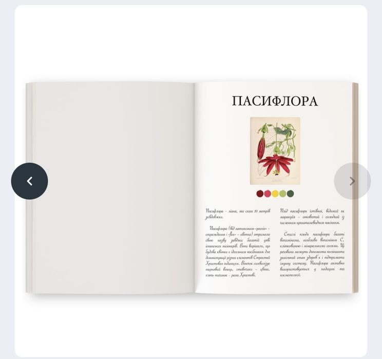 Розмальовка «Квіти» Ольги Марс