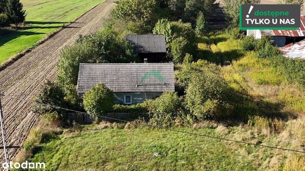 Dom na sprzedaż, Lipie, 1 pokój
