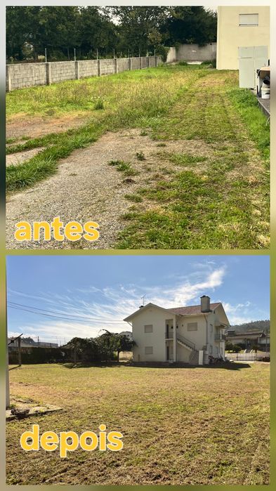 Serviço manutenção renovação e limpeza jardim