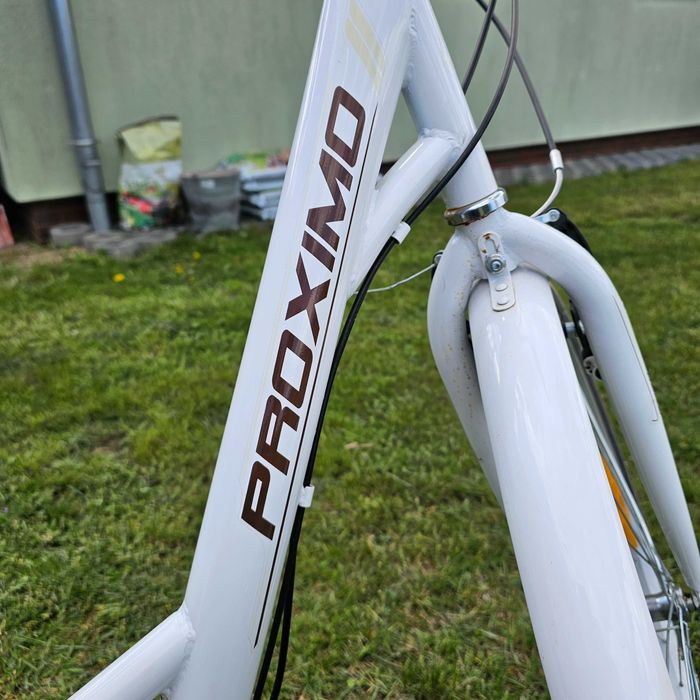 Rower miejski Proximo ST 50