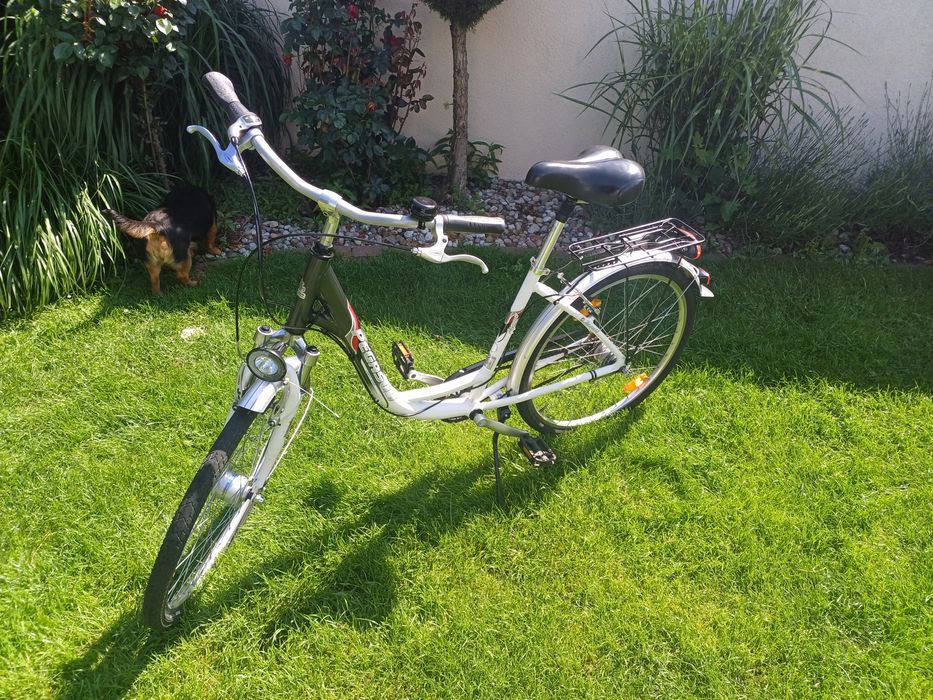 Rower damka Pegasus