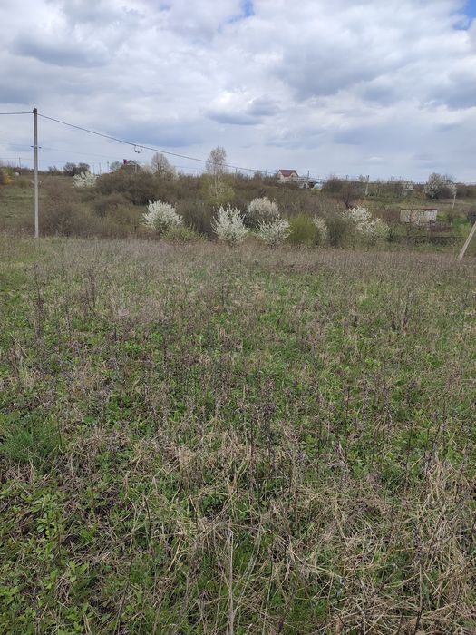 Продаж земельної ділянки за Книжківцями