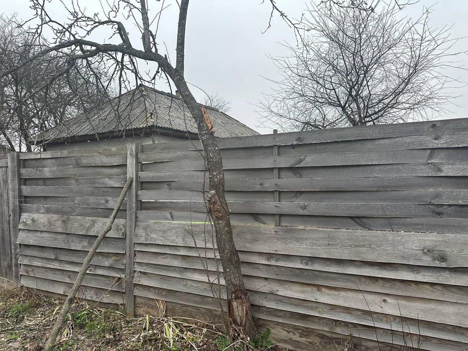 Продаж будинку в селі Козари біля лісу