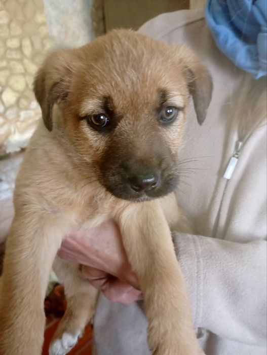 Привіт, мої люди!