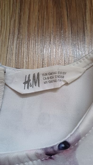 Urocza sukienka h&m koty rozm.134/140
