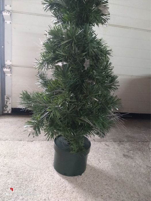 Pinheiro de Natal