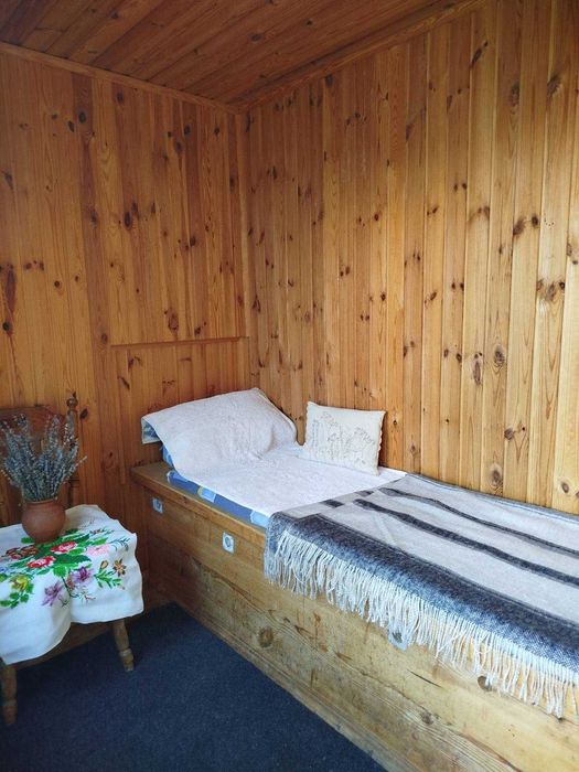 Сон на вуликах Апітерапія Умань