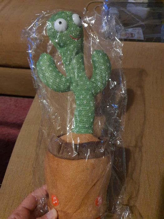 Brinquedo interactivo criança famoso Cacto que dança e canta