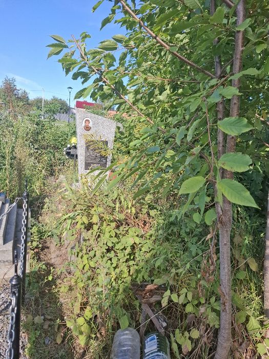 Прибирання на кладовищі,  на могилах