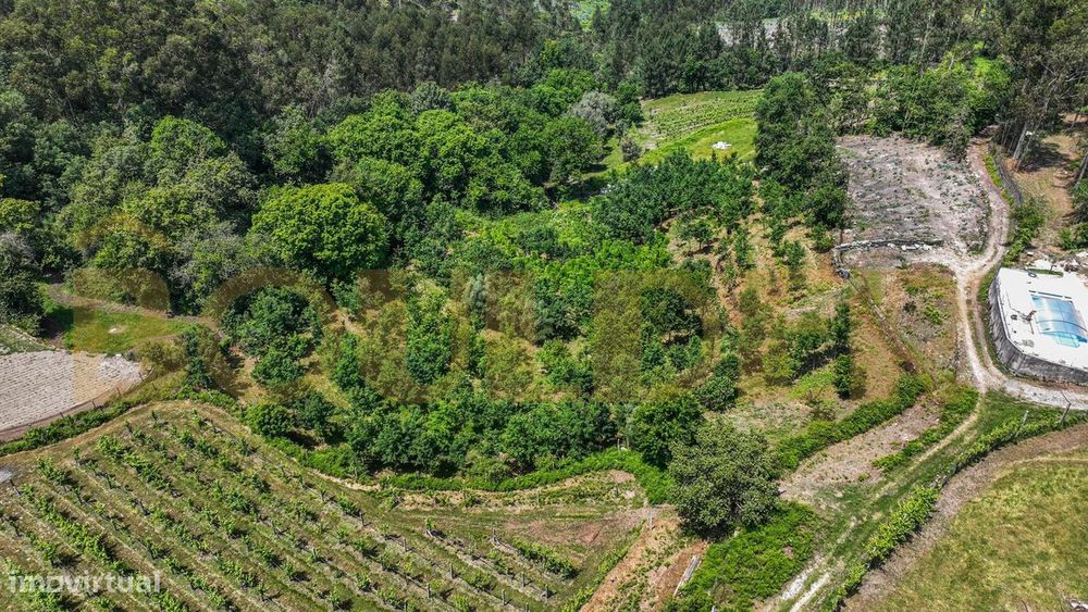 Terreno agrícola em Sobradelo da Goma