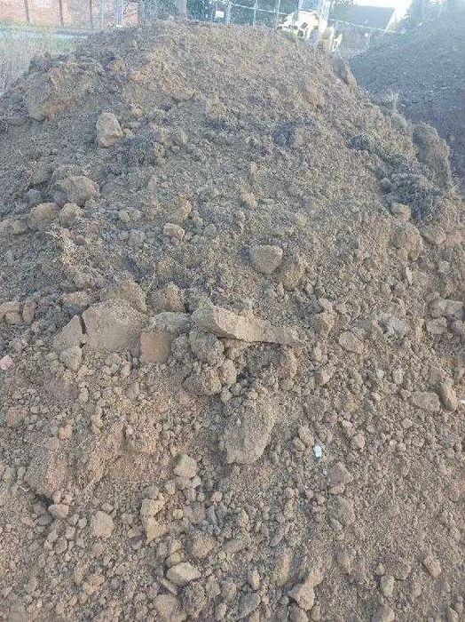 Oddam ziemie za darmo