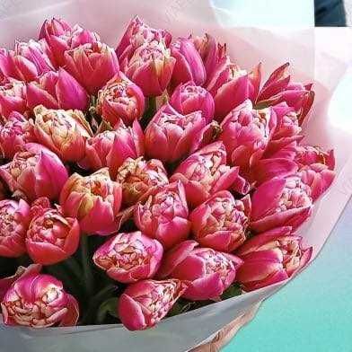 100кг- 50грн/кг, від 500 до 1т - 40 грн,від тонни по 30 грн