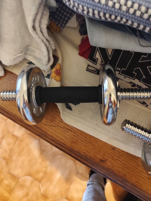 Conjunto de halteres