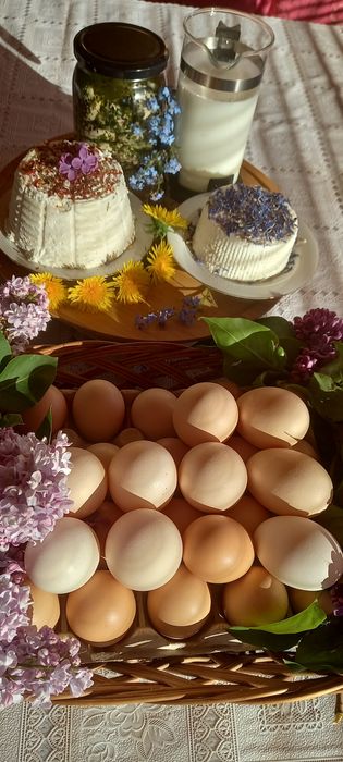 Wiejskie ,smaczne i zdrowe jajka kurze.