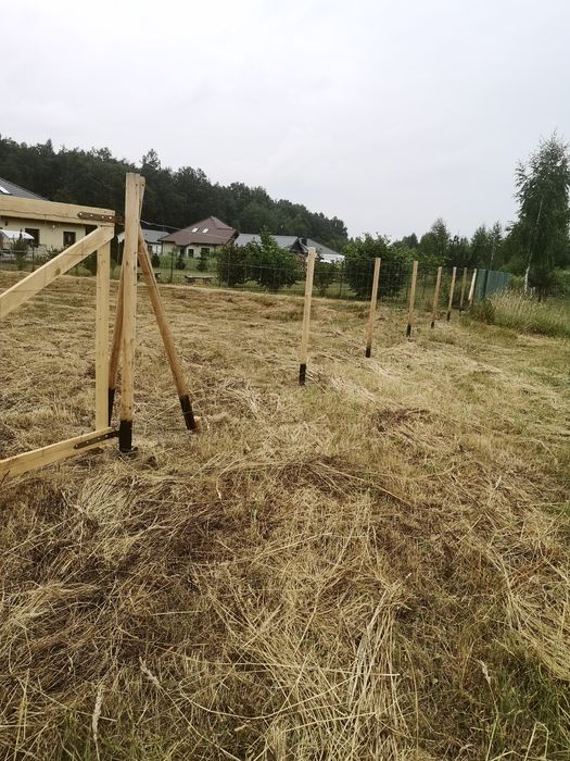 Ogrodzenie budowlane, ogrodzenie tymczasowe, ogrodzenie leśne