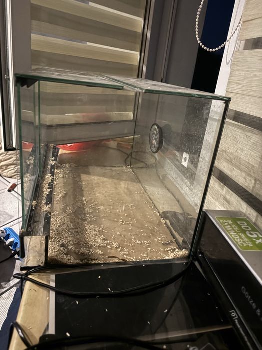 Terarium dla gekona bądz mniejszej zborzówki