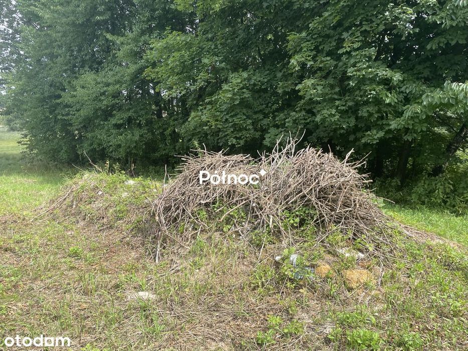 Piękna duża działka z potencjałem! - Widok 4