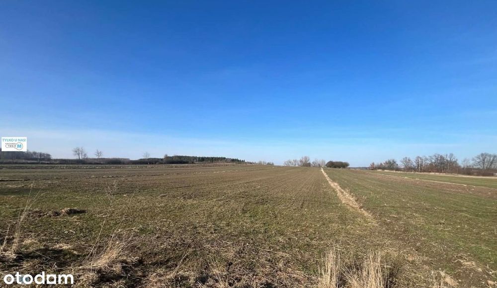 Działka rolna z możliwością zabudowy okolice Buska