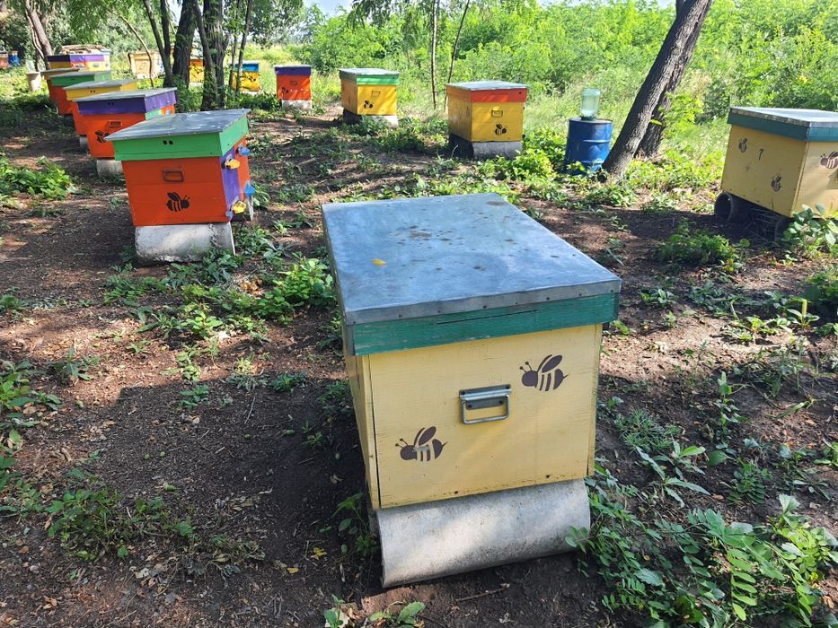 Улья 20 рамочные