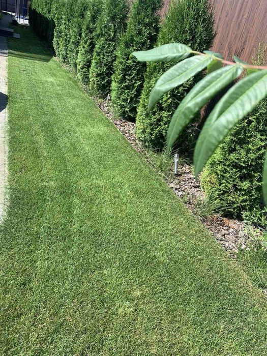 Догляд за садом | Газон | Обрізка дерев