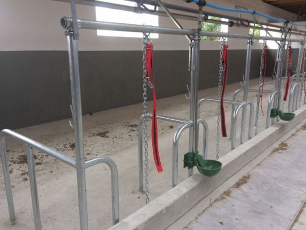 Wygrodzenia stanowiska dla bydła Jażmo uwięzi ,agrafka .łańcuch