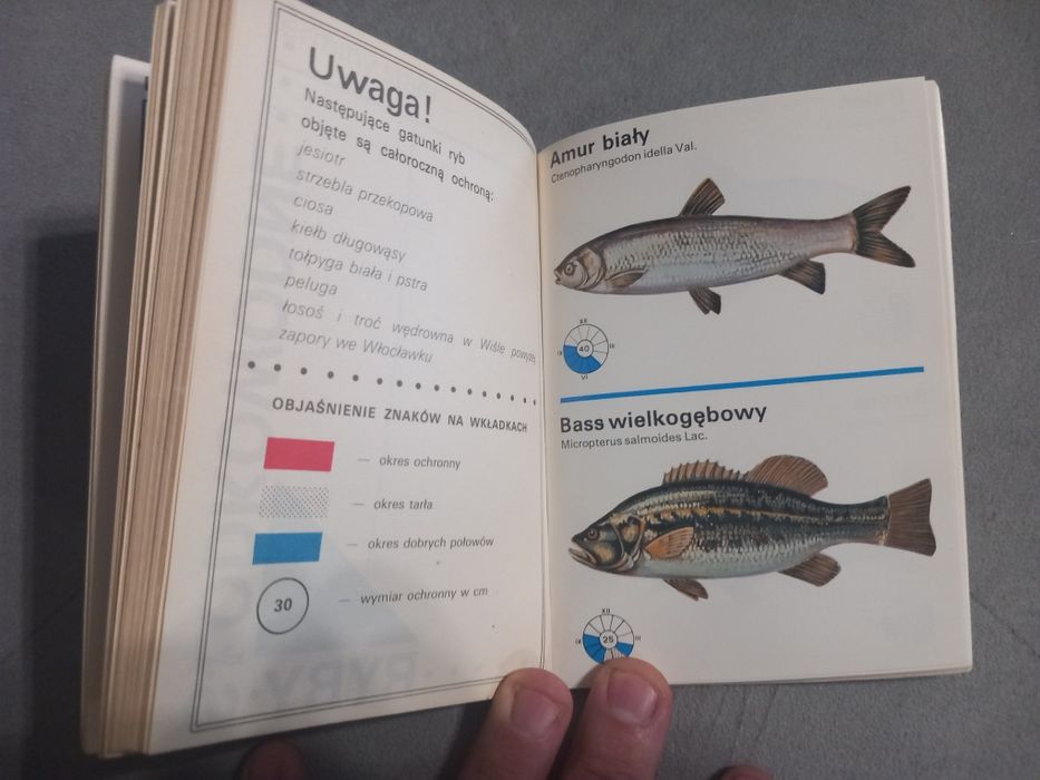 Kalendarz wędkarza 1982r.