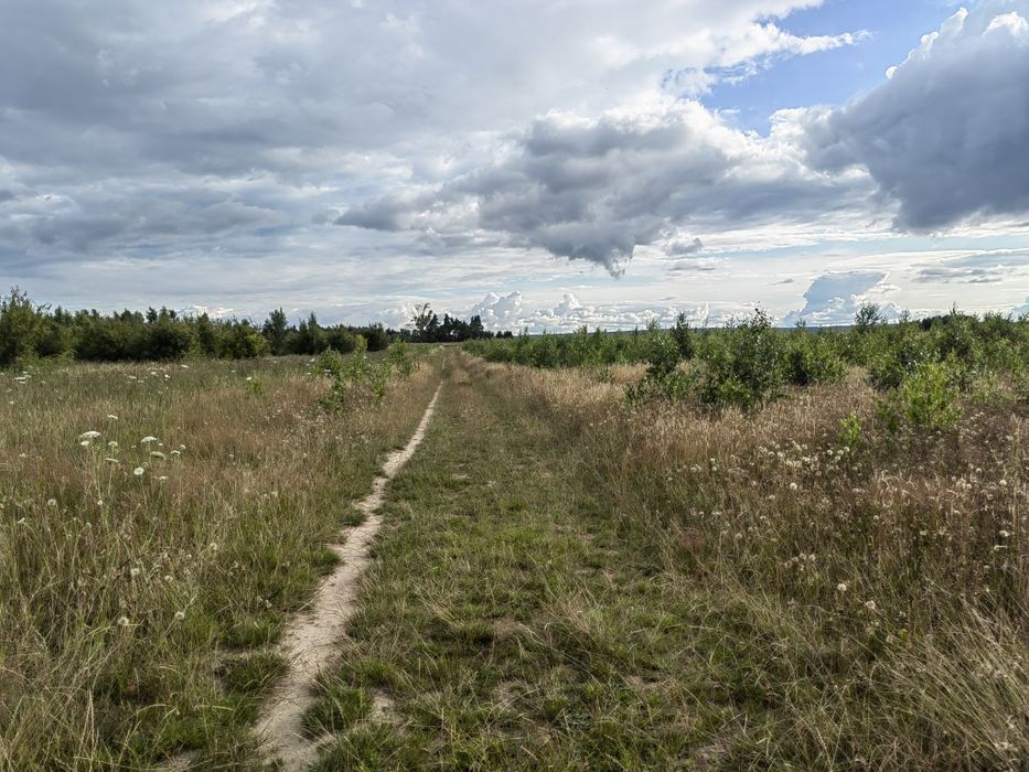 Działka budowlana w Strzelnie - Widok 5
