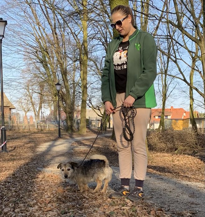 BLAGAMY! Jamniczek zostal sam po śmierci pani - POMOCY!