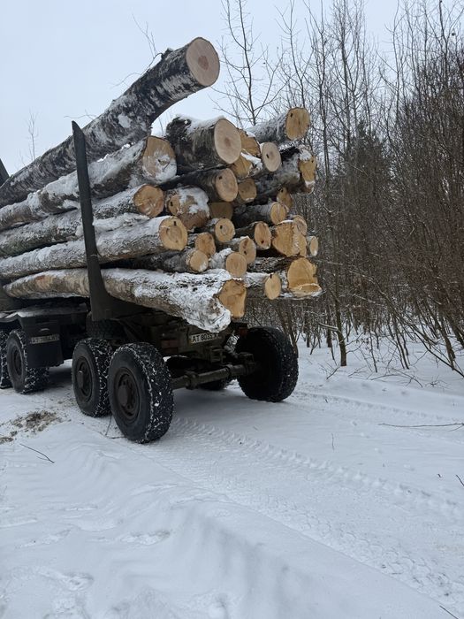 Продам дрова різних порід