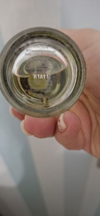 Le Couvent - Aqua Nymphae