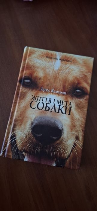 Життя і мета собаки