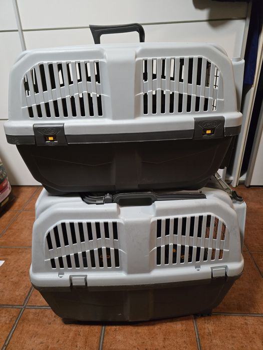 Acessórios e comida para cão