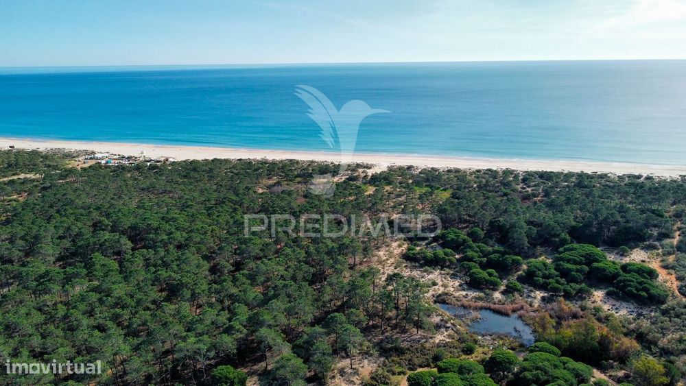 Terreno com 31.5ha com 500 metros de frente de praia