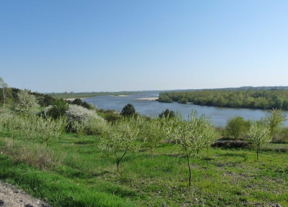 Dom z dużą działką nad brzegiem Wisły Opoczka/Annopol