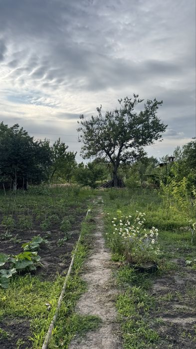 Продам дачний участок