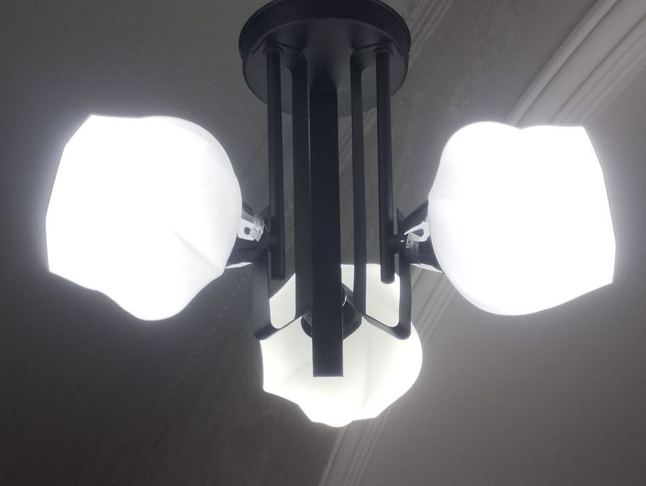 Стельова люстра 10937/3