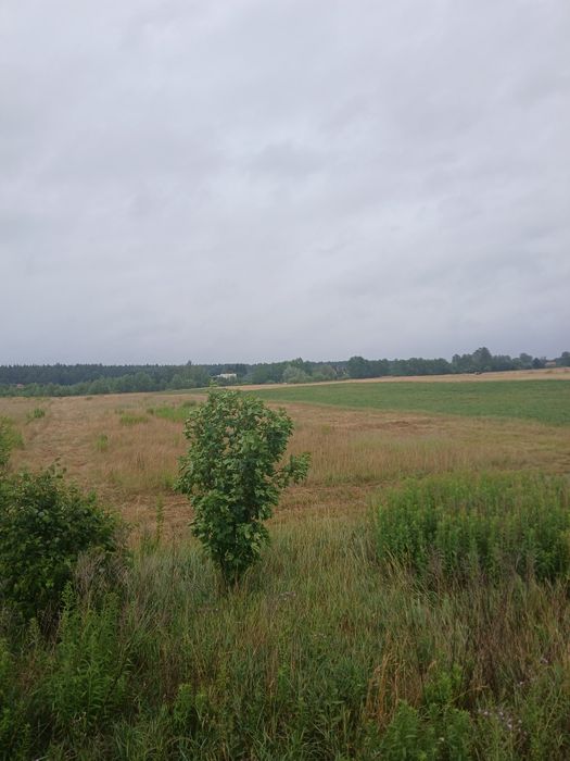 Продаж земельної ділянки .Перша лінія - Вид 2