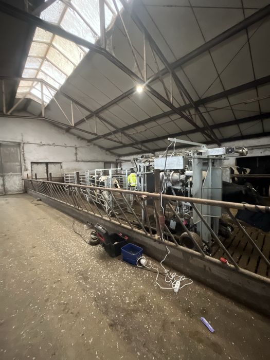 HoofCare Korekcja racic u bydła