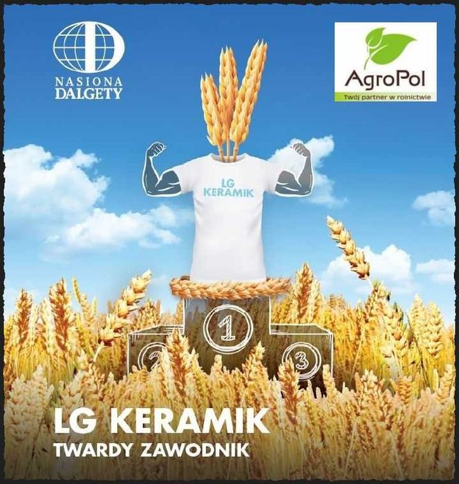 Pszenica Ozima LG KERAMIK - Niezawodna i Bardzo Plenna Nawet w Trudnych Latach -Nasiona Kwalifikowane Pszenicy Ozimej LG Nasiona Dalgety Agrii
