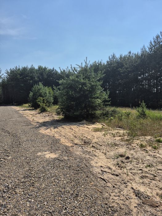 Urokliwa Działka wśród drzew - Widok 5