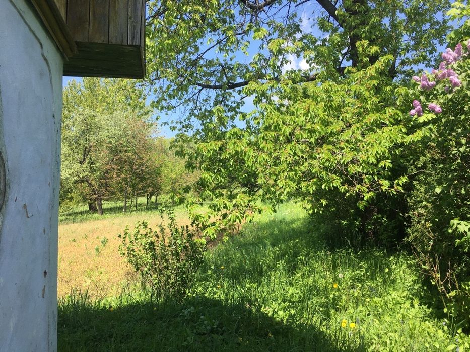 Продається райський куточок під дачу або забудову