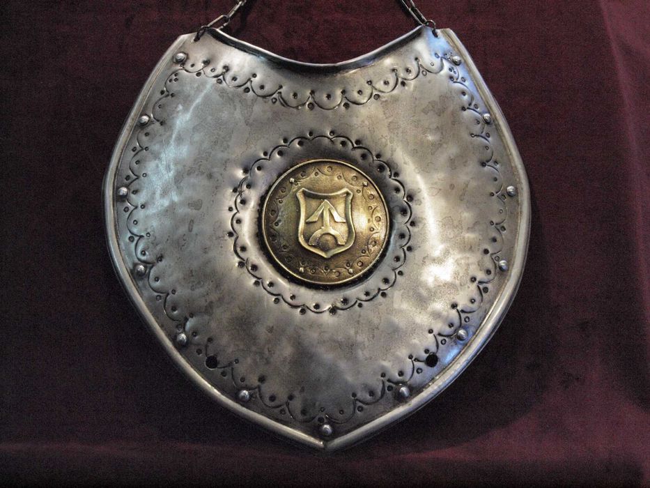 ryngraf szlachecki, husarski, herb OGOŃCZYK, do szabel, tarcza herbowa