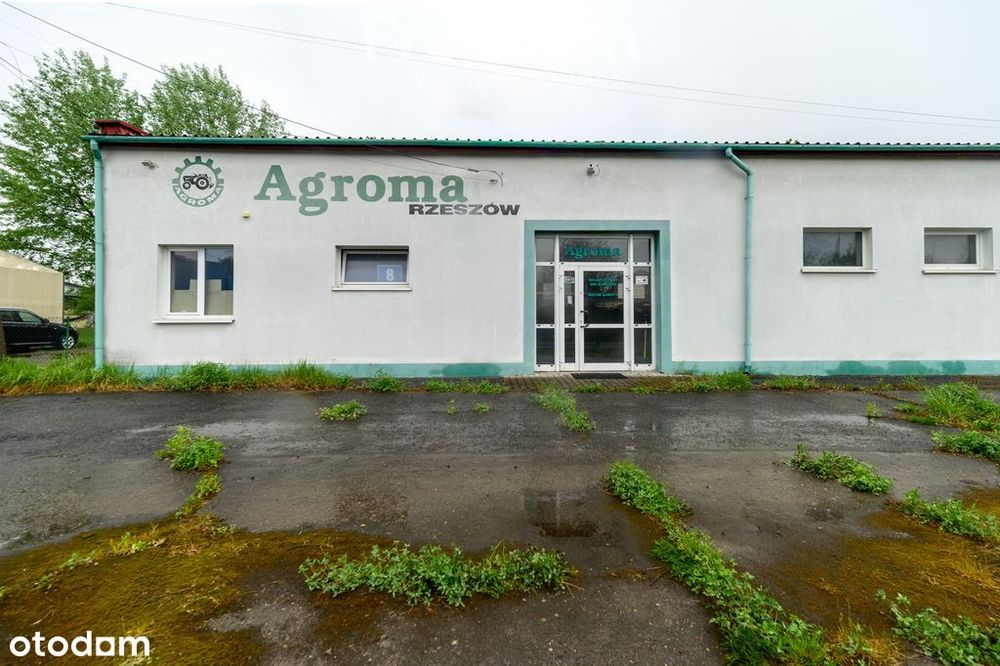 Lokal usługowy 280 m² Leżajsk Spółdzielcza