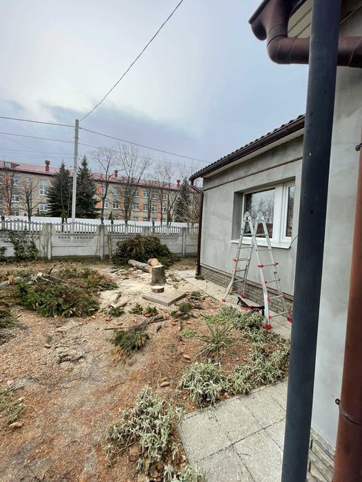 Обрезка деревьев с Бесплатным вывозом Жми , Спил деревьев  Дробление