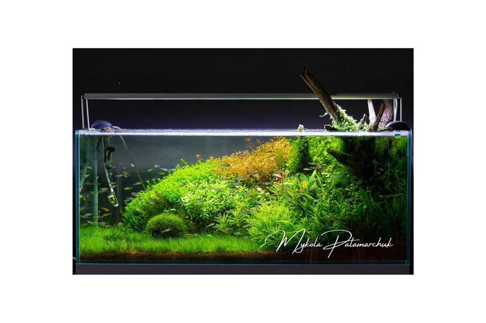 Встановлення,запуск акваріумів будь якої складності.Акваріум під ключ