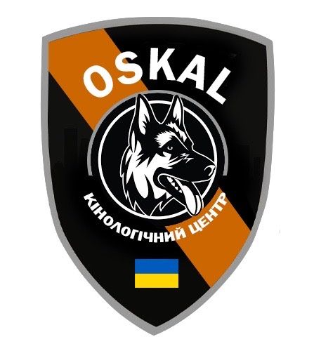 Німецька вівчарка 08.06.25