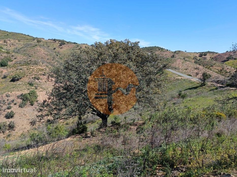 Terreno Com 43.560 M2 - Com Possibilidade De Contruir Um Armazém - ...