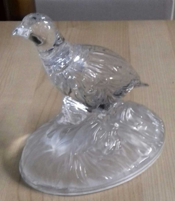 Pássaro em Vidro